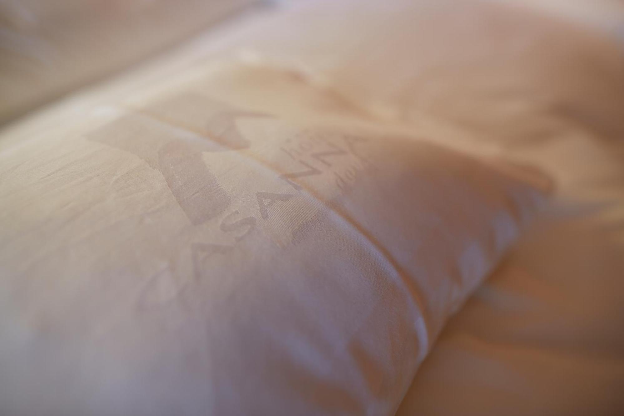 Casanna Hotel Davos City Center Δωμάτιο φωτογραφία